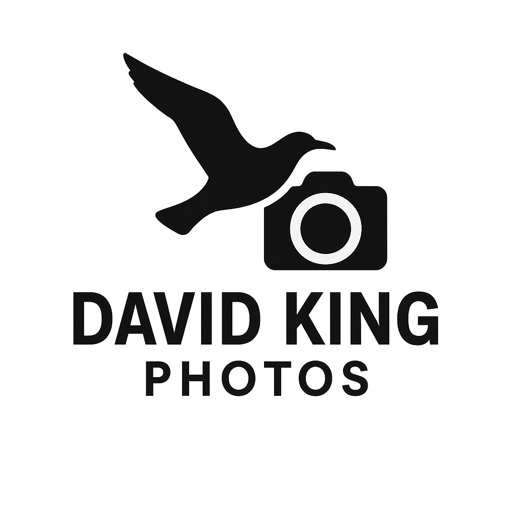 file 000000008774622fbb640d8ecbd0a338